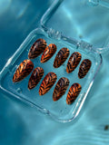 Tiger Eye